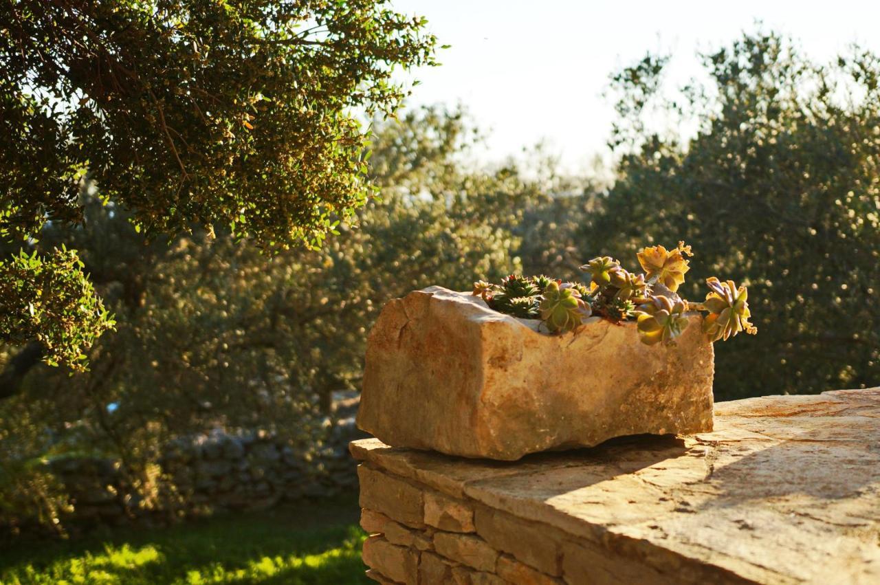 벨라루카 Stone House San Pelegrin 빌라 외부 사진